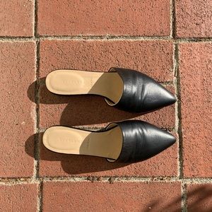 Everlane “The Pointed Slide”